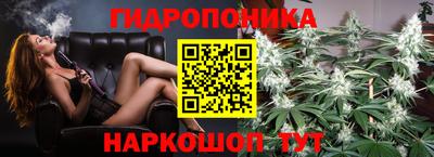 прущие крисы Берёзовский