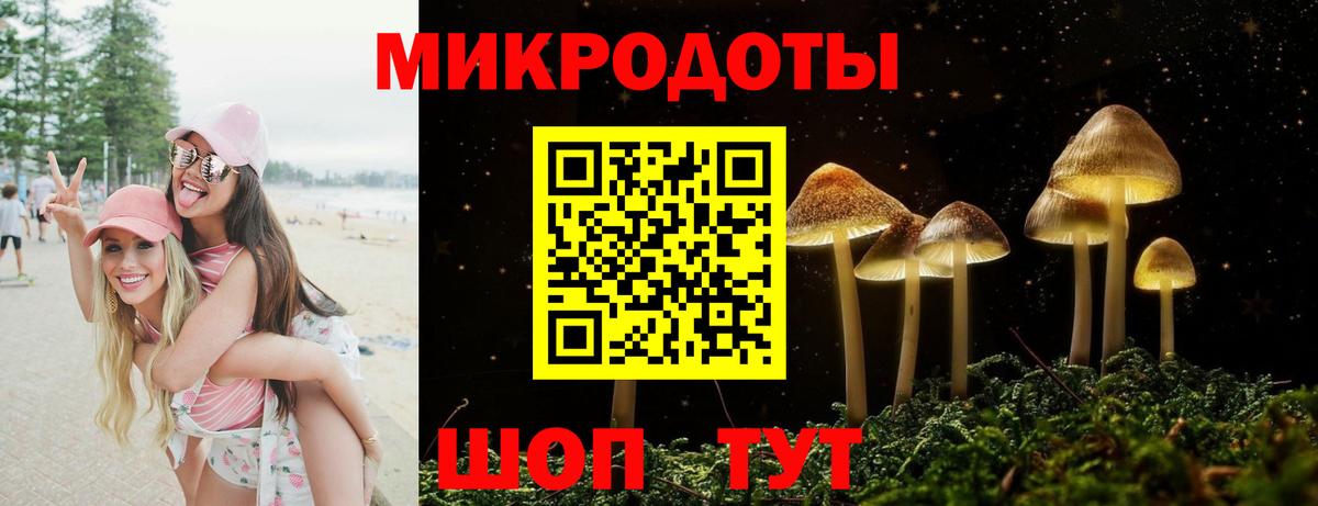 Галлюциногенные грибы Cubensis Бугульма